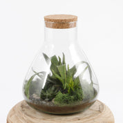 Emily Storage Jar - H25 x Ø23 cm - Recycled Glass - Transparent