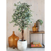 Artificial Ficus Plant - H110 x Ø70 cm - Green Variegated