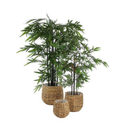Bambou artificiel - H120 x Ø75 cm - Vert