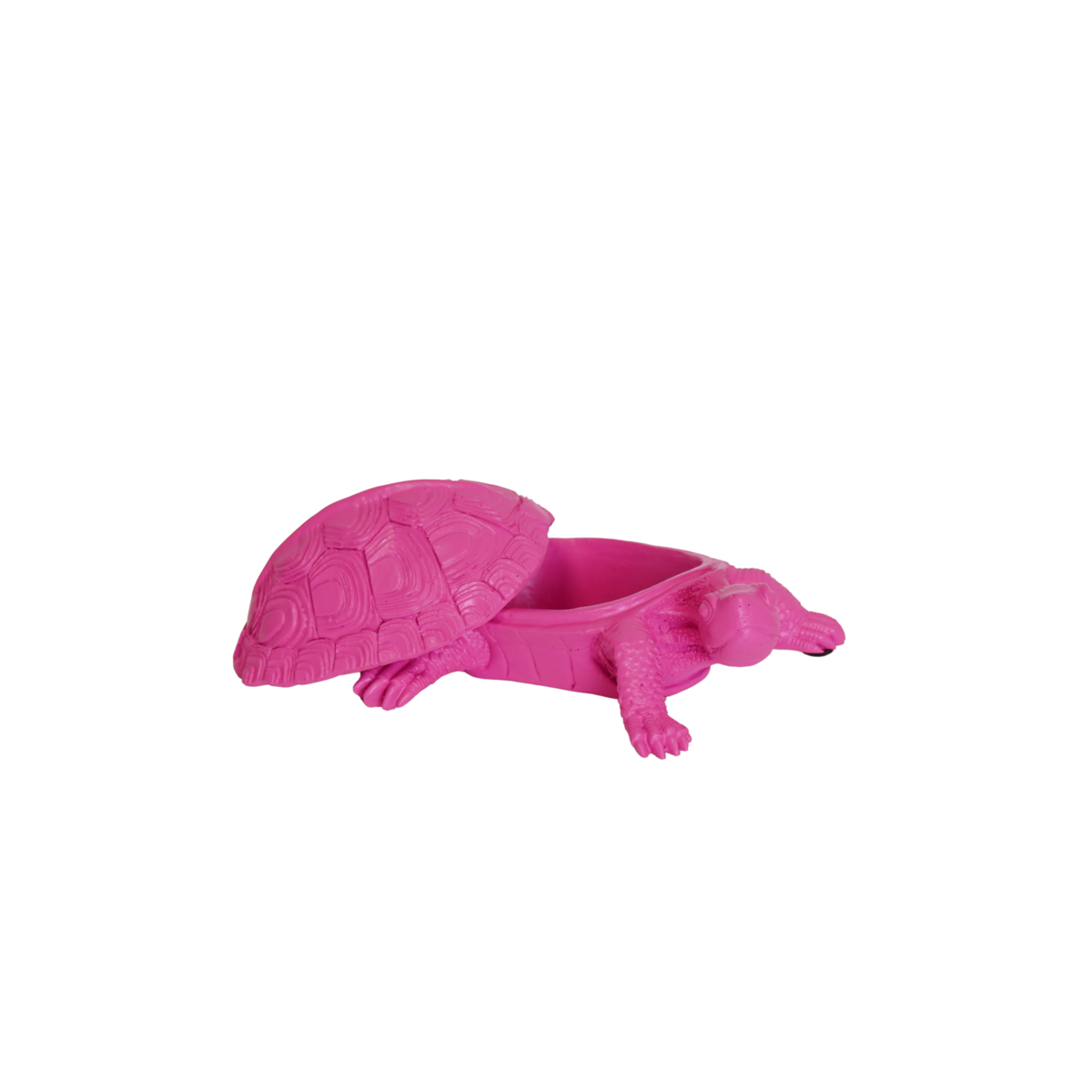 76cdbe6b-3717-459c-b096-0f171698c4e7_1200x1200_fill.png