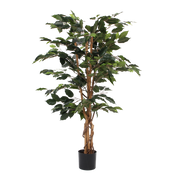 Artificial Ficus Plant - H110 x Ø65 cm - Green