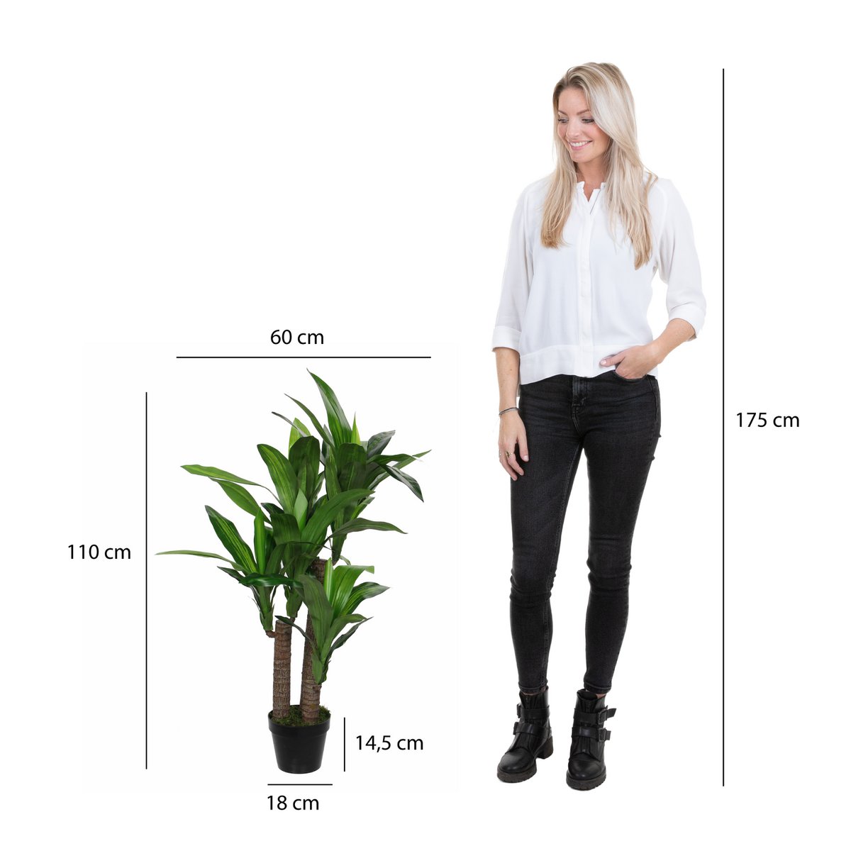 Dracaena Artificial Plant - H110 x Ø60 cm
