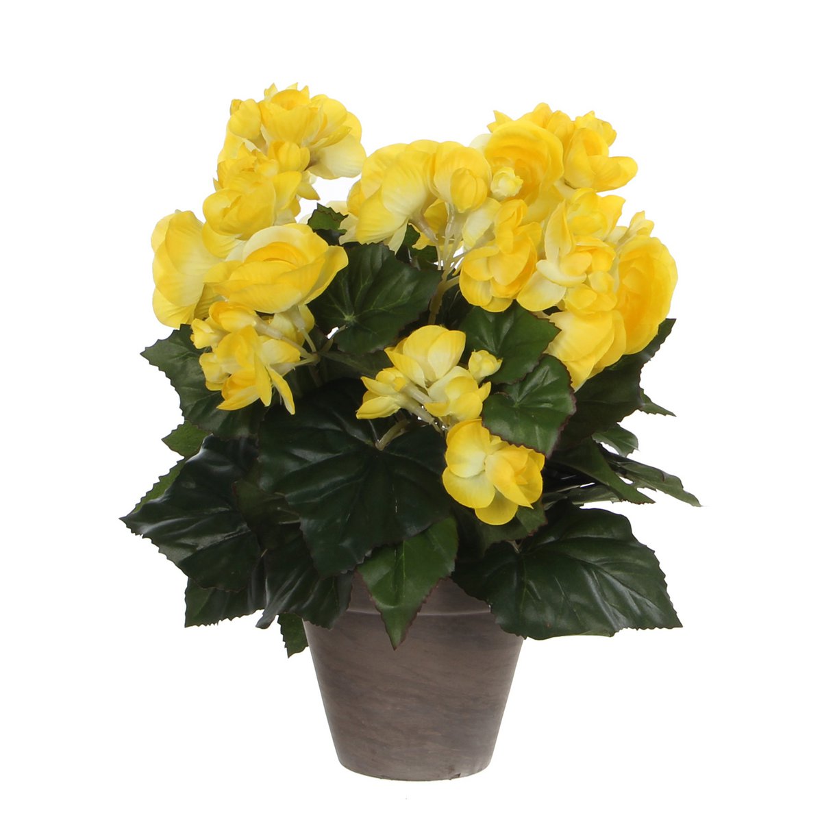 Artificial Begonia Plant in Flower Pot Stan - H30 x Ø25 cm - Yellow