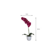 Künstliche Phalaenopsis-Pflanze im Blumentopf Tusca – H60 x Ø16 cm – Lila