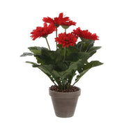 Artificial Gerbera Plant in Flower Pot Stan - H35 x Ø30 cm - Red