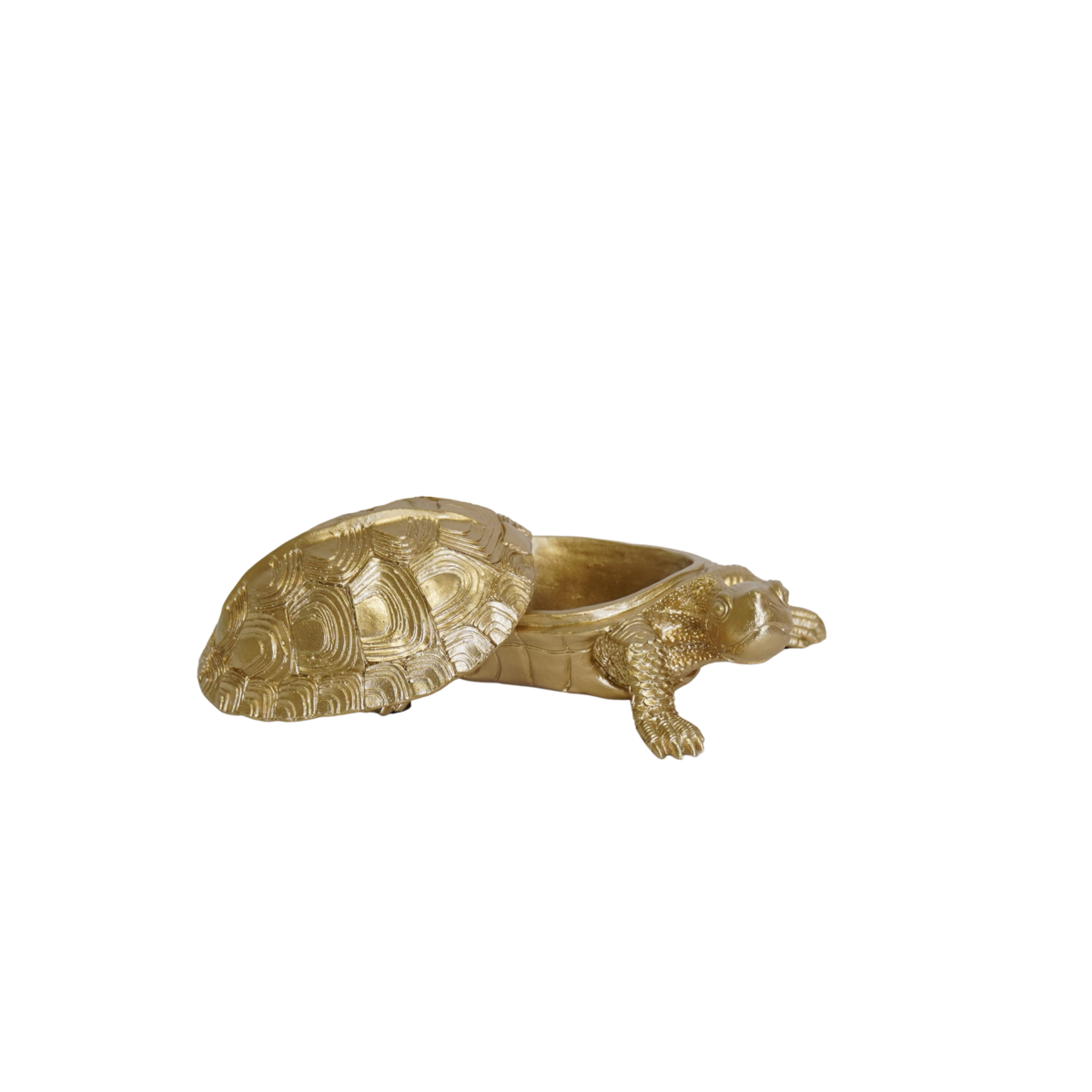 7b5e4b5c-a483-4f9e-8c95-ae9ae3d0625f_1200x1200_fill.png