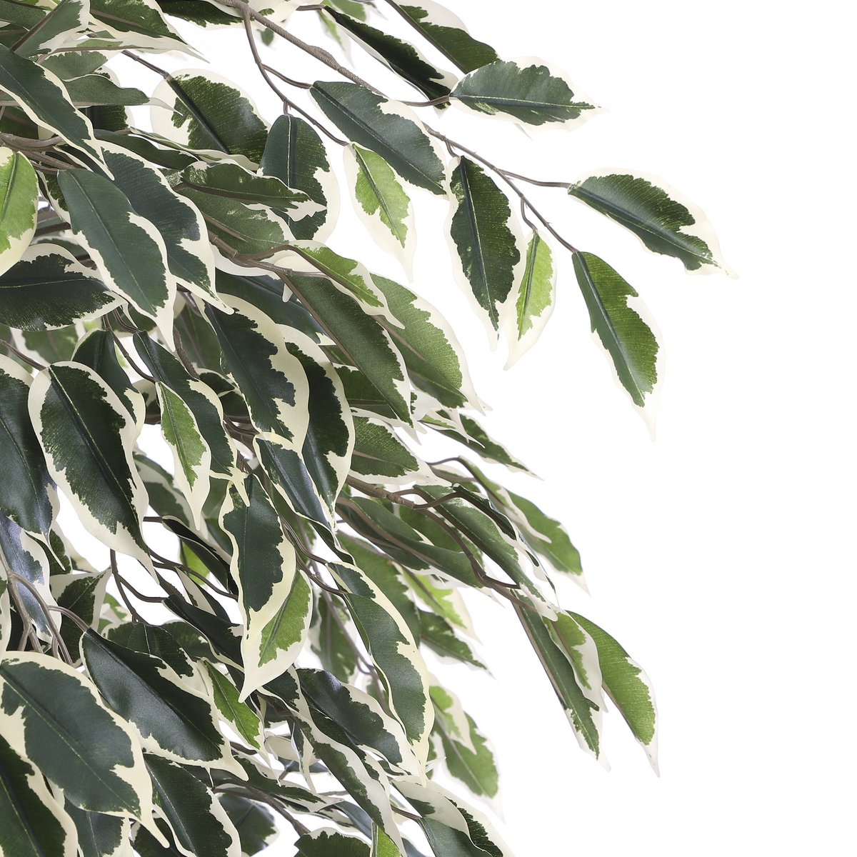 Ficus artificiel - H180 x Ø90 cm - Vert panaché