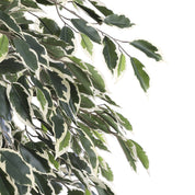 Ficus artificiel - H180 x Ø90 cm - Vert panaché