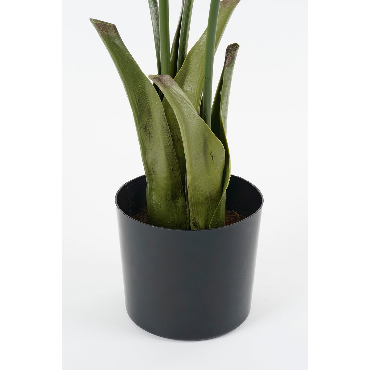 Fish tail Palm Artificial Plant in Pot - H150 x Ø100 cm - Green