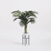 Ascot Plant Stand - L21 x W21 x H35 cm - Metal - Black