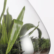 Emily Storage Jar - H32 x Ø30 cm - Recycled Glass - Transparent