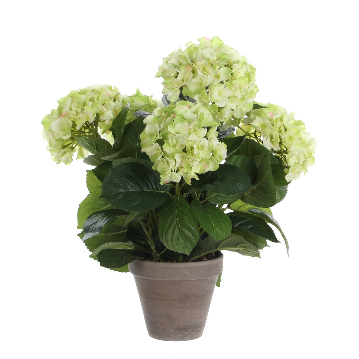 Artificial Hydrangea Plant in Flower Pot Stan - H45 x Ø45 cm - Green