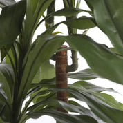 Dracaena Artificial Plant - H100 x Ø70 cm