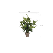 Artificial Hosta Plant in Flower Pot Stan - H65 x Ø40 cm - Green