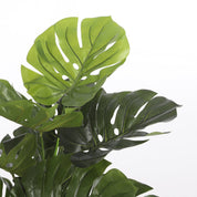 Monstera Artificial Plant - H100 x Ø75 cm - Green