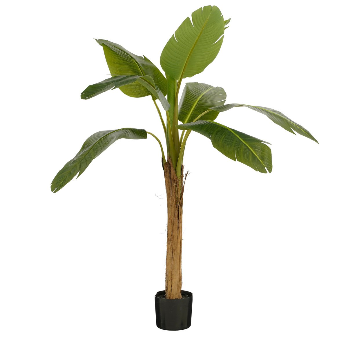 82f39bd6-0aa4-4cdd-a39d-09c092ccbc95_1200x1200_fill.jpg