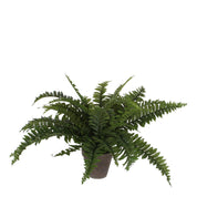 Artificial Boston Fern Plant in Flower Pot Stan - H42 x Ø50 cm - Green