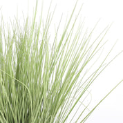 Artificial Grass Plant - H68 x Ø50 cm - Green
