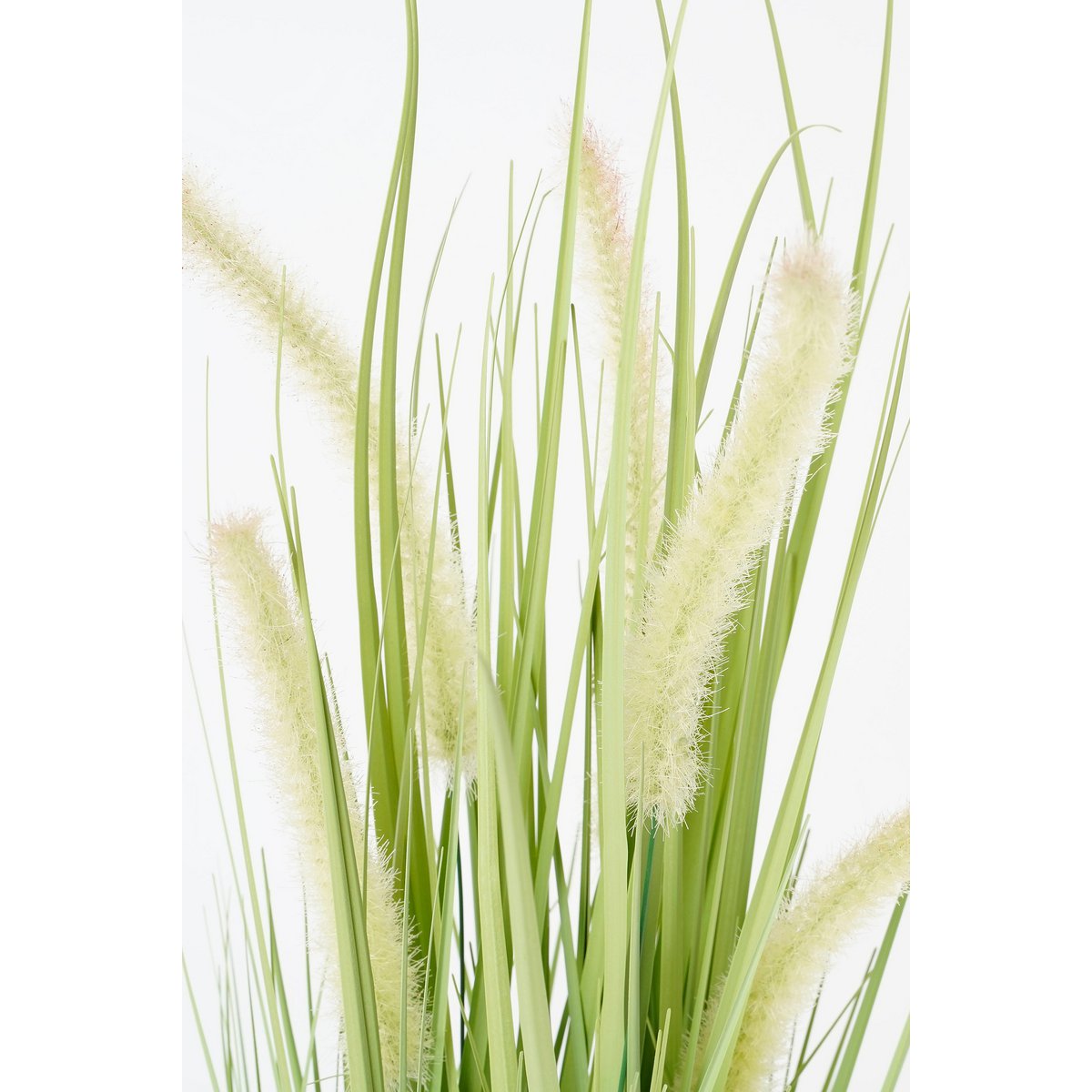 Kunstplant Dogtail Grass - H53 x Ø30 cm - Groen