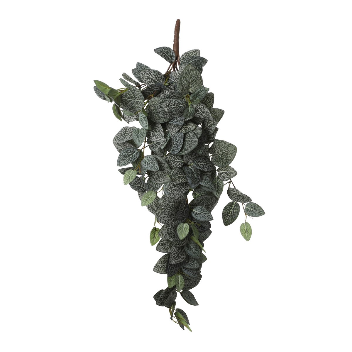 Fittonia Kunsthangplant - L15 x B20 x H54 cm - Groen
