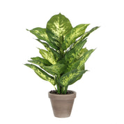 Dieffenbachia Kunstpflanze im Blumentopf Stan - H40 x Ø30 cm - Grün