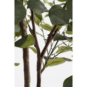 Artificial Eucalyptus Plant in Flower Pot - H95 x Ø55 cm - Green