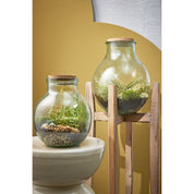 Olly Vase - H38 x Ø29 cm - Recycled Glass - Transparent