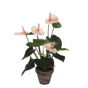 Anthurium Artificial Plant in Stan Flower Pot - H40 x Ø30 cm - Light Pink