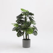 Monstera Artificial Plant - H140 x Ø80 cm - Green