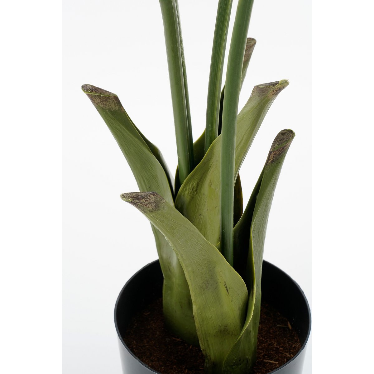 Fish tail Palm Artificial Plant in Pot - H150 x Ø100 cm - Green