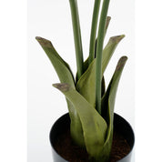 Fish tail Palm Artificial Plant in Pot - H150 x Ø100 cm - Green