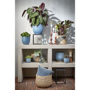Avalon Plant Basket - Set of 3 - H32 x Ø44 cm - Seagrass - Light brown