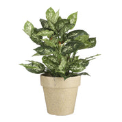 Kunstplant in Bloempot Stan - H70 x Ø55 cm - Groen