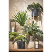Asplenium Artificial Plant in Flower Pot Stan - H54 x Ø66 cm - Green