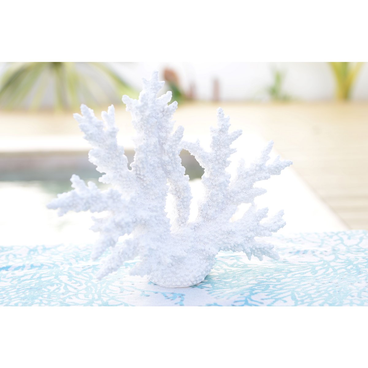 Decorative White Coral 
