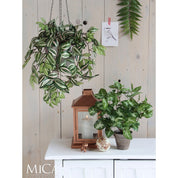 Tradescantia artificielle suspendue - L15 x l20 x H54 cm - Vert