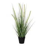 Kunstplant Dogtail Grass - H53 x Ø30 cm - Groen