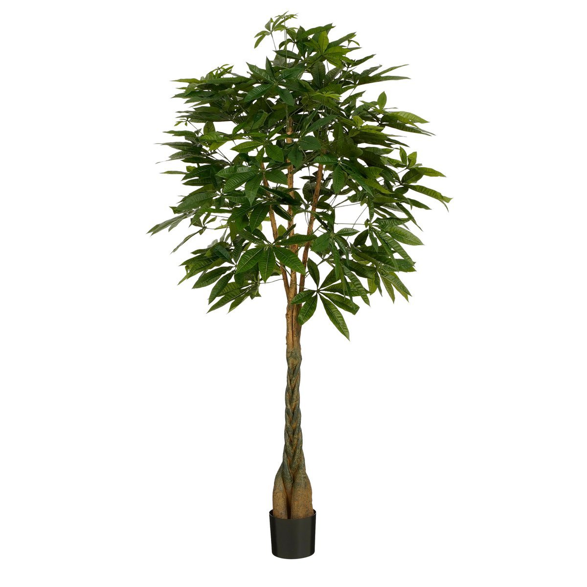 Pachira Artificial Plant - H150 x Ø65 cm - Green