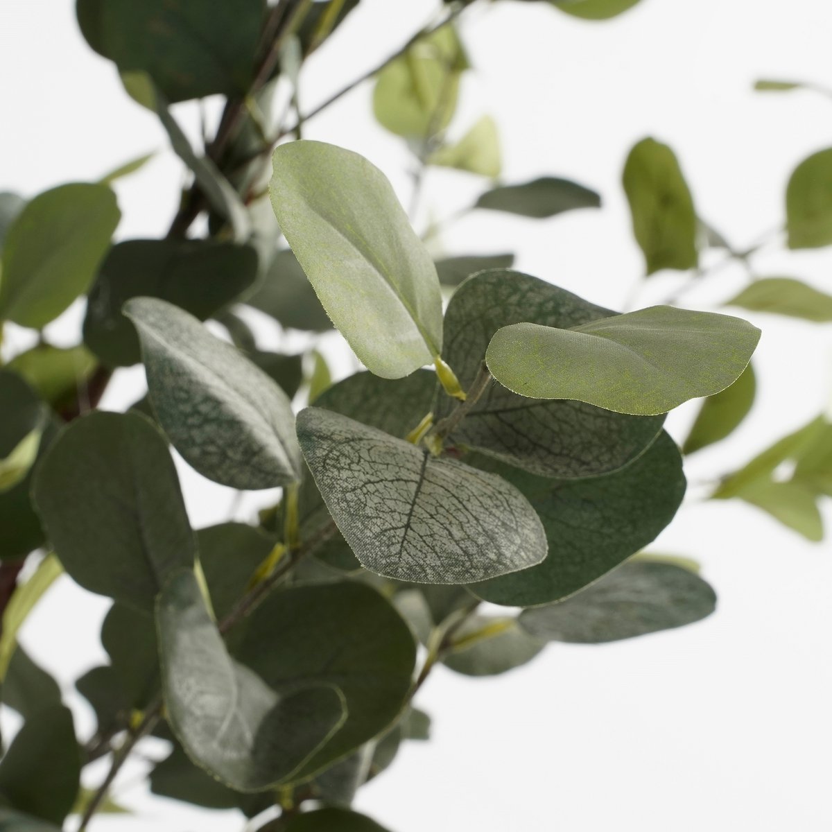 Artificial plant Eucalyptus tree in Pot - H180 x Ø80 cm - Green