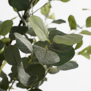 Artificial plant Eucalyptus tree in Pot - H180 x Ø80 cm - Green