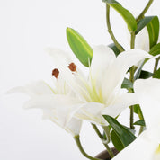 Kunsttijgerlelie in bloempot Stan - Wit