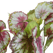 Artificial Begonia Plant in Flower Pot Stan - H40 x Ø38 cm - Red