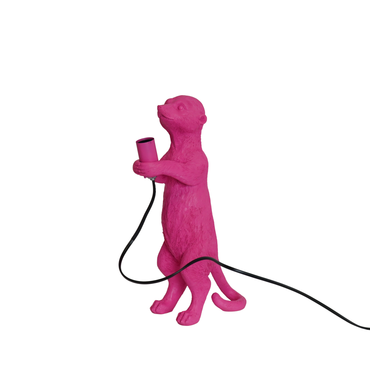 9d0af8a3-58b0-4574-b37c-c97a62fb5cf9_1200x1200_fill.png