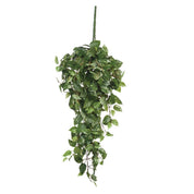 Scindapsus Artificial Hanging Plant - L15 x W30 x H80 cm - Green