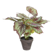 Artificial Begonia Plant in Flower Pot Stan - H40 x Ø38 cm - Red