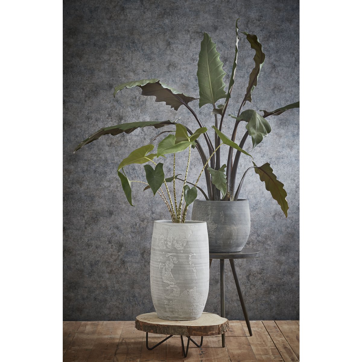 Pia Tree Trunk Side Table - H14 x Ø40 cm - Light brown