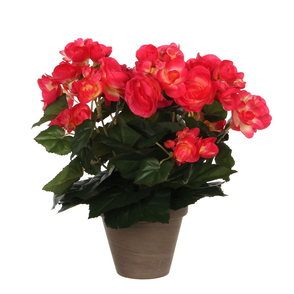 Artificial Begonia Plant in Flower Pot Stan - H30 x Ø25 cm - Dark Pink