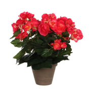 Artificial Begonia Plant in Flower Pot Stan - H30 x Ø25 cm - Dark Pink