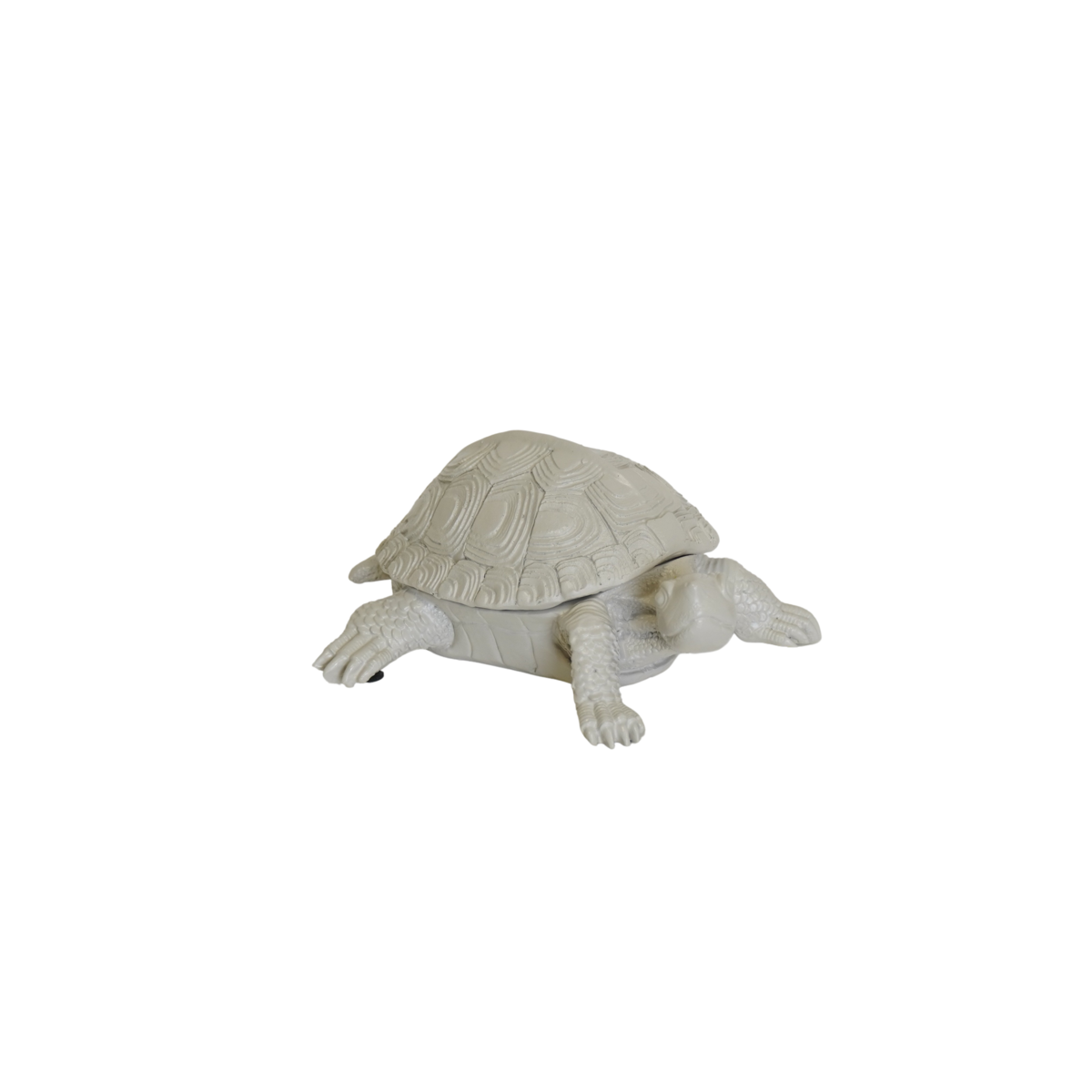 a47d5d93-0afa-4b8a-85b3-f3982197171d_1200x1200_fill.png