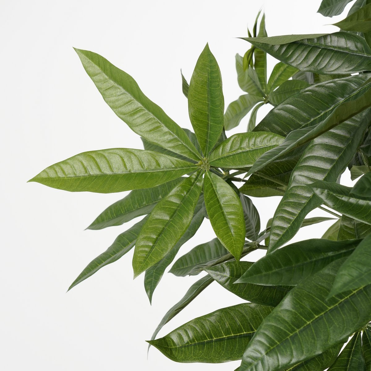Plante artificielle Pachira - H120 x Ø50 cm - Vert